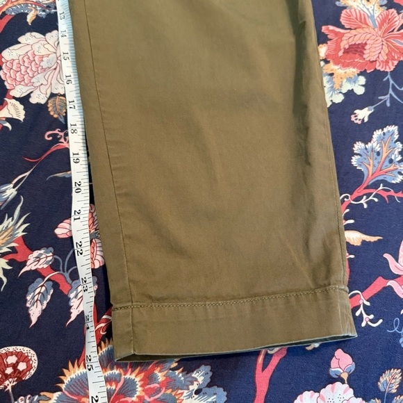 Everlane Slouchy Chino Pant in Covert Green Pleated Balloon Leg size 2 - Picture 12 of 13